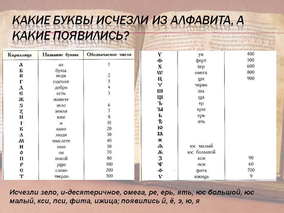 Алфавит содержит 32 буквы какое